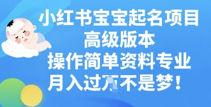 小红书宝宝起名项目高级版本，操作简单，资料专业，月入过W-网创项目-网创项目平台-网络项目资源网