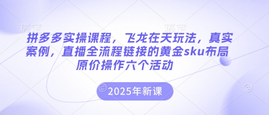 拼多多实操课程，飞龙在天玩法，真实案例，直播全流程链接的黄金sku布局原价操作六个活动-网创项目-网创项目平台-网络项目资源网
