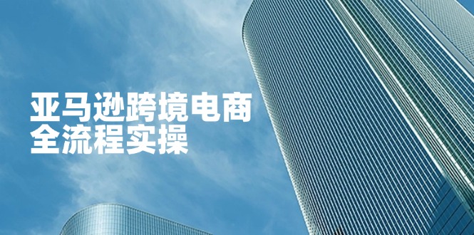 （14252期）亚马逊跨境电商全流程实操，教你从零开始，掌握店铺运营与广告技巧-网创项目-网创项目平台-网络项目资源网