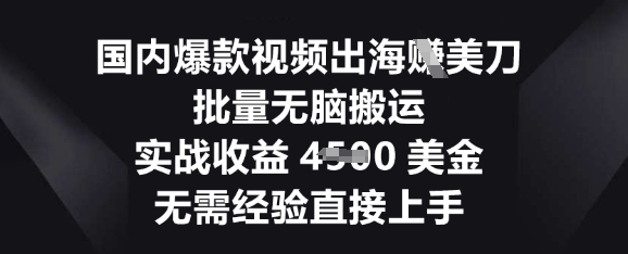 国内爆款视频出海挣美刀，批量无脑搬运，实战收益4.5k，无需经验直接上手-网创项目-网创项目平台-网络项目资源网