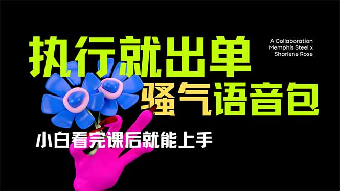 （14170期）爆火全网的开车导航骚气语音包,只要执行就出单，小白看完课程就能实操...-网创项目-网创项目平台-网络项目资源网